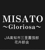 MISATO〜Gloriosa〜