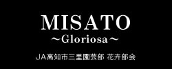 MISATO〜Gloriosa〜 JA高知市三里園芸部 花卉部会